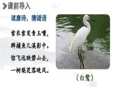 24人教统编版小学五年级语文上册第一单元1.白鹭第1课时  课件