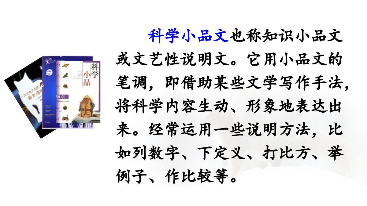 24人教统编版小学五年级语文上册第五单元17.松鼠第1课时  课件第5页