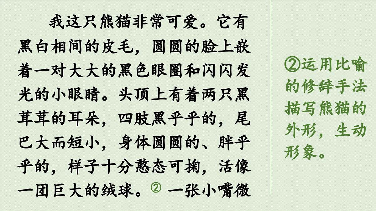 24人教统编版小学五年级语文上册第一单元习作：我的心爱之物第2课时 课件第7页