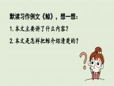 24人教统编版小学五年级语文上册第五单元习作例文与习作第1课时  课件