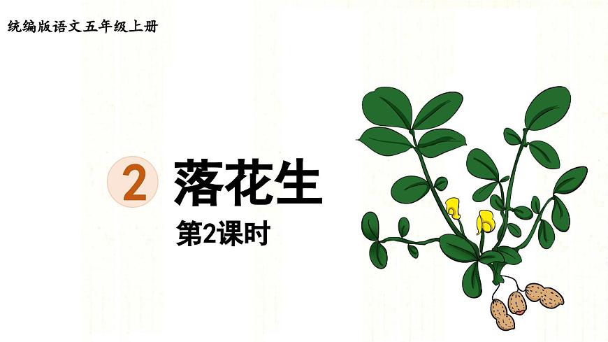 24人教统编版小学五年级语文上册第一单元2.落花生第2课时  课件第1页
