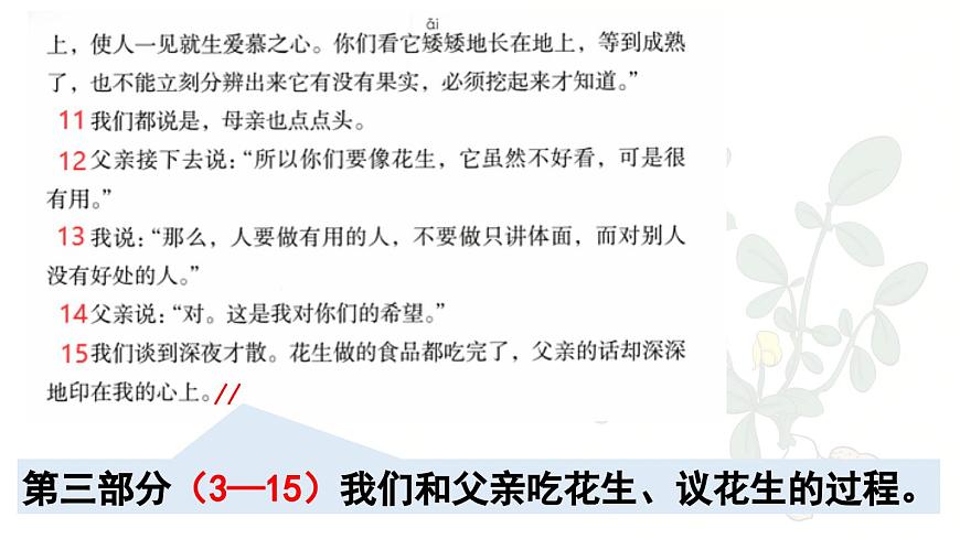 24人教统编版小学五年级语文上册第一单元2.落花生第2课时  课件第4页