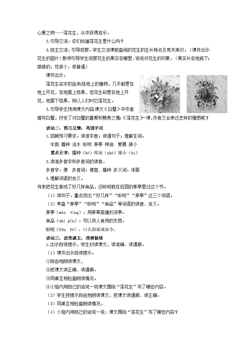 24人教统编版小学五年级语文上册第一单元2《落花生》 教案第2页