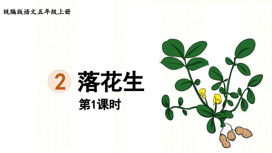 24人教统编版小学五年级语文上册第一单元2.落花生第1课时  课件第1页