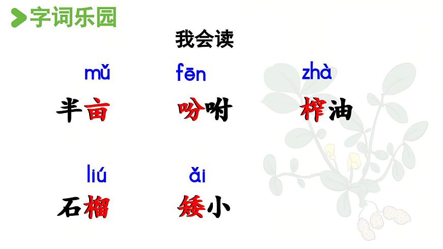 24人教统编版小学五年级语文上册第一单元2.落花生第1课时  课件第6页