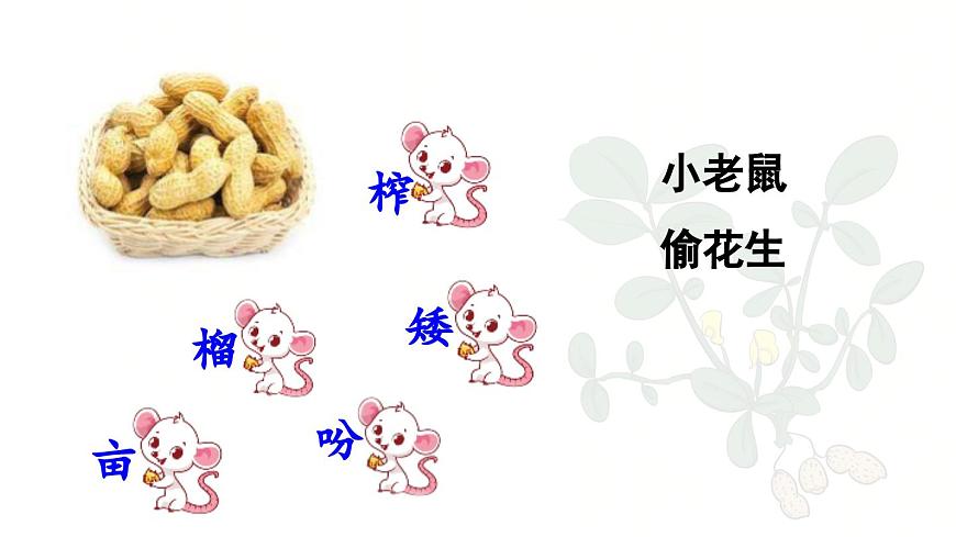 24人教统编版小学五年级语文上册第一单元2.落花生第1课时  课件第7页