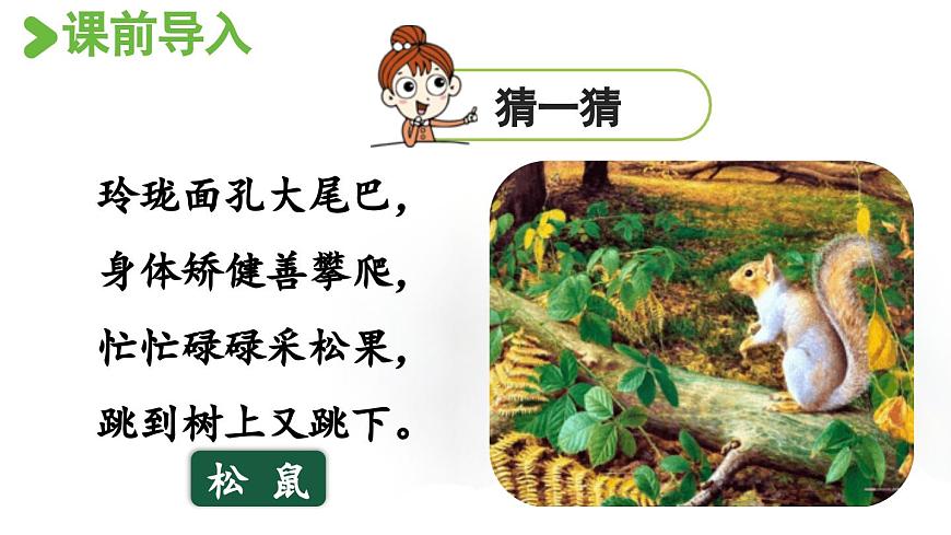 24人教统编版小学五年级语文上册第五单元17.松鼠第1课时  课件第2页