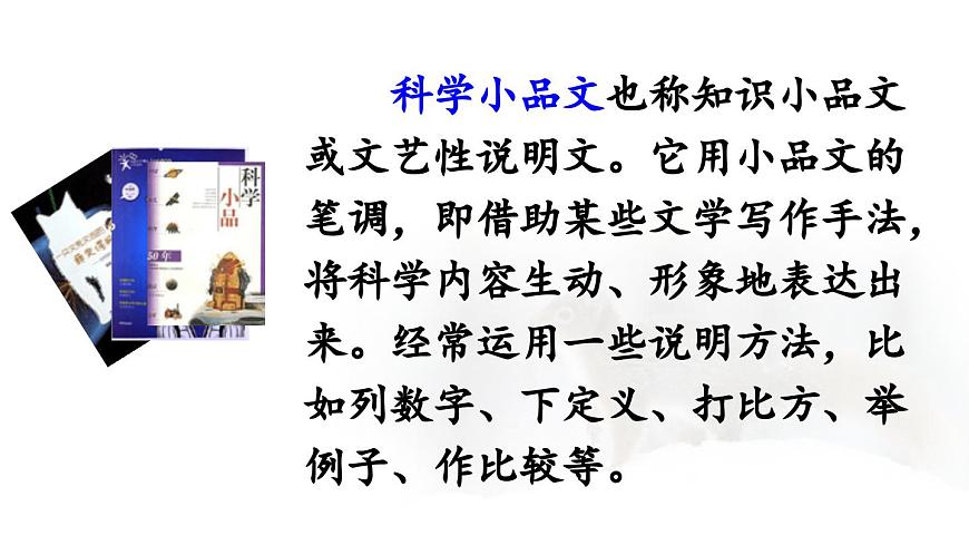 24人教统编版小学五年级语文上册第五单元17.松鼠第1课时  课件第5页