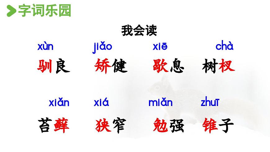 24人教统编版小学五年级语文上册第五单元17.松鼠第1课时  课件第6页