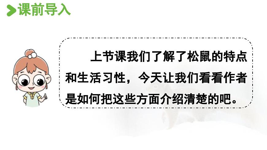 24人教统编版小学五年级语文上册第五单元17.松鼠第2课时  课件第2页