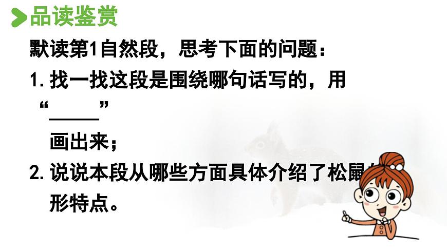 24人教统编版小学五年级语文上册第五单元17.松鼠第2课时  课件第3页