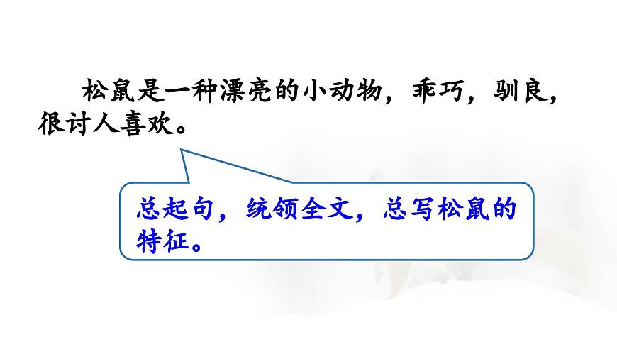 24人教统编版小学五年级语文上册第五单元17.松鼠第2课时  课件第4页