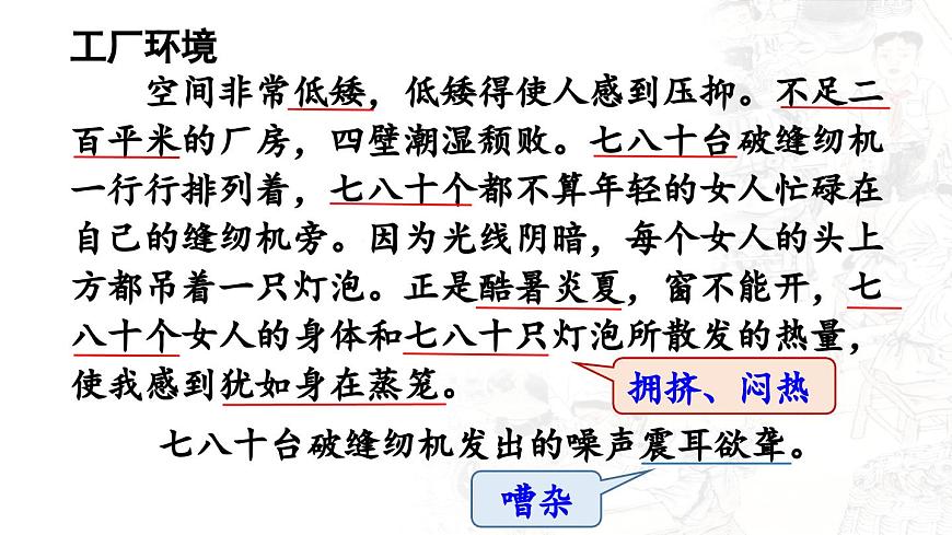 24人教统编版小学五年级语文上册第六单元18.慈母情深第2课时  课件第6页