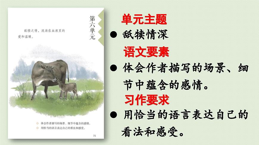 24人教统编版小学五年级语文上册第六单元18.慈母情深第1课时  课件第1页