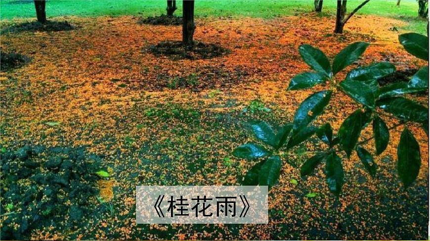 24人教统编版小学五年级语文上册第一单元语文园地第1课时  课件第5页