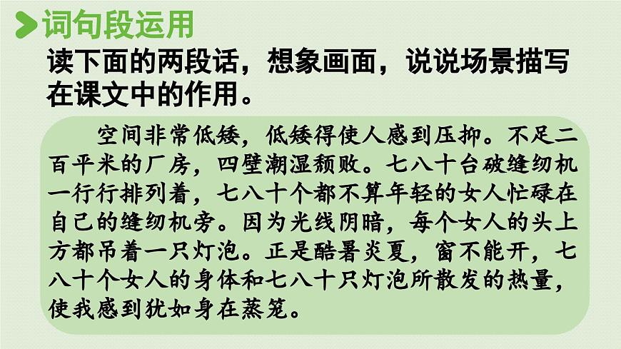 24人教统编版小学五年级语文上册第六单元语文园地第2课时  课件第2页