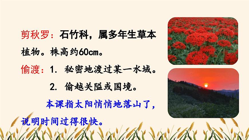 【统编版2025秋新教材】小学语文四年级上册第一单元-3 现代诗二首【优 质版】课件第7页