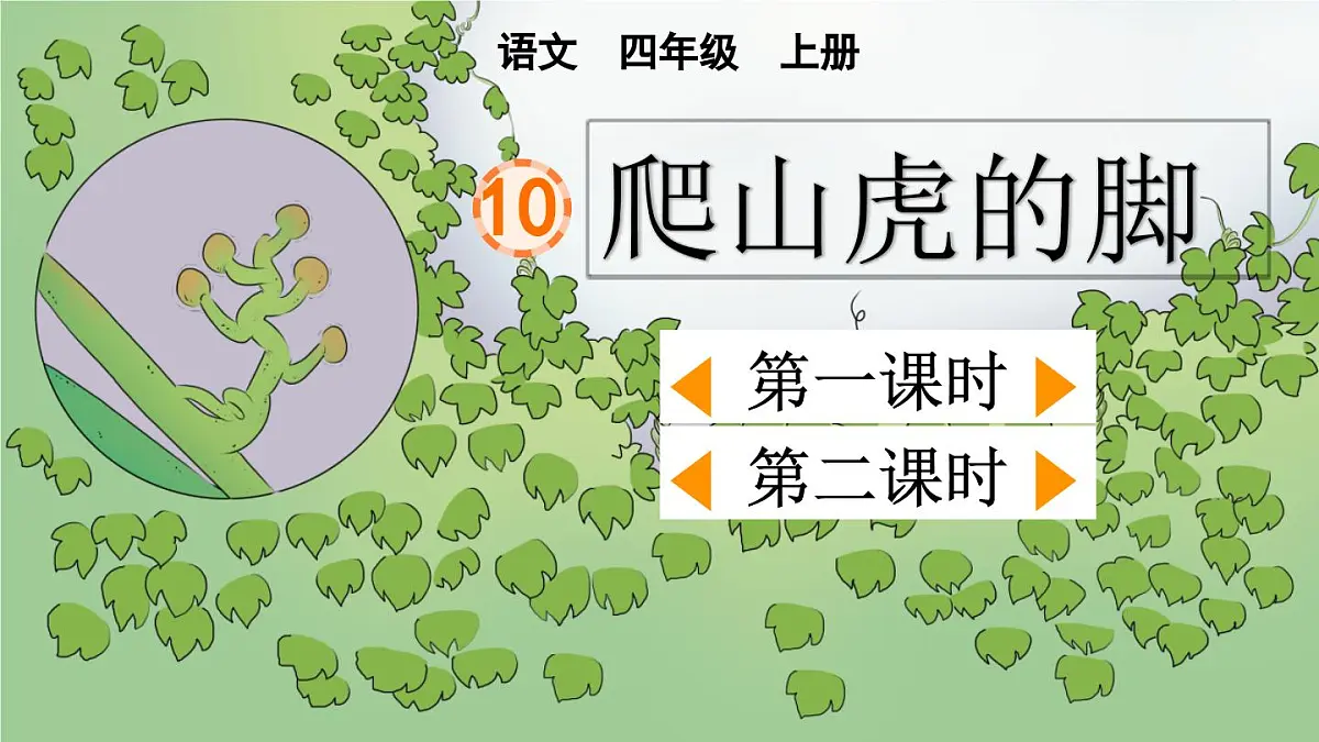 【统编版2025秋新教材】小学语文四年级上册第三单元-10 爬山虎的脚【精 华版】第1页