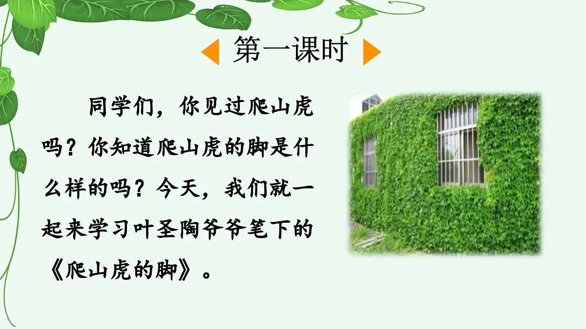 【统编版2025秋新教材】小学语文四年级上册第三单元-10 爬山虎的脚【精 华版】第2页