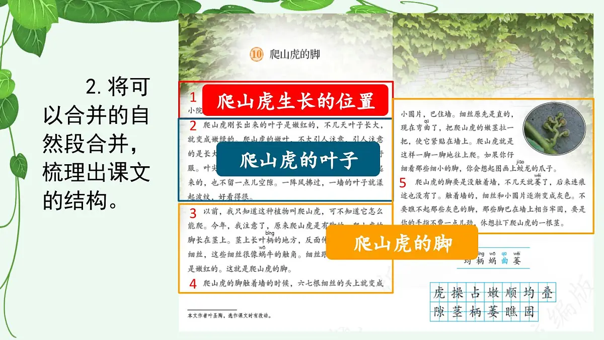 【统编版2025秋新教材】小学语文四年级上册第三单元-10 爬山虎的脚【精 华版】第6页