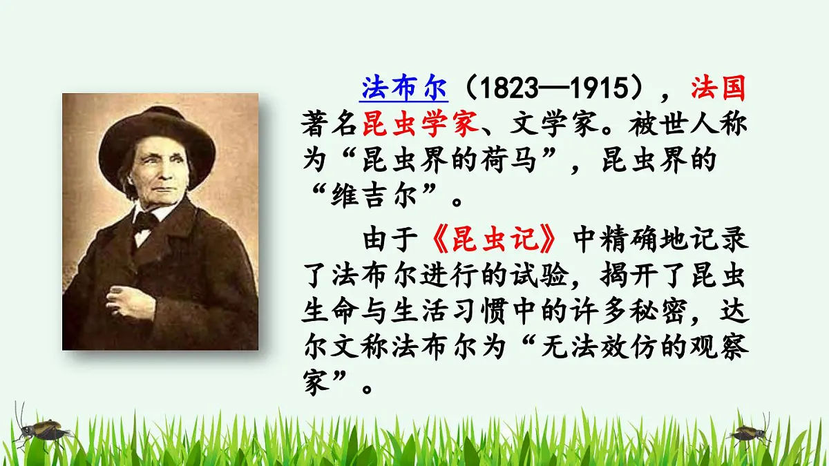 【统编版2025秋新教材】小学语文四年级上册第三单元-11 蟋蟀的住宅【精 华版】第3页