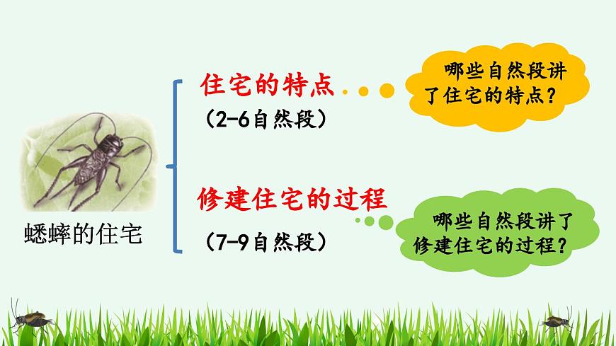 【统编版2025秋新教材】小学语文四年级上册第三单元-11 蟋蟀的住宅【精 华版】第7页