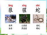 【核心素養(yǎng)】部編版小學語文二年級上冊語文園地八-課件+教案+同步練習（含教學反思）