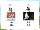 【核心素養(yǎng)】部編版小學語文二年級上冊語文園地八-課件+教案+同步練習（含教學反思）