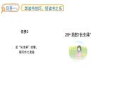2024统编版-小学语文五年级上册第八单元26.我的“长生果”-教学课件
