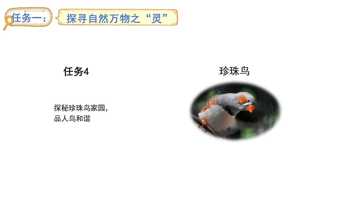 2024统编版-小学语文五年级上册第一单元4.珍珠鸟-教学课件第1页