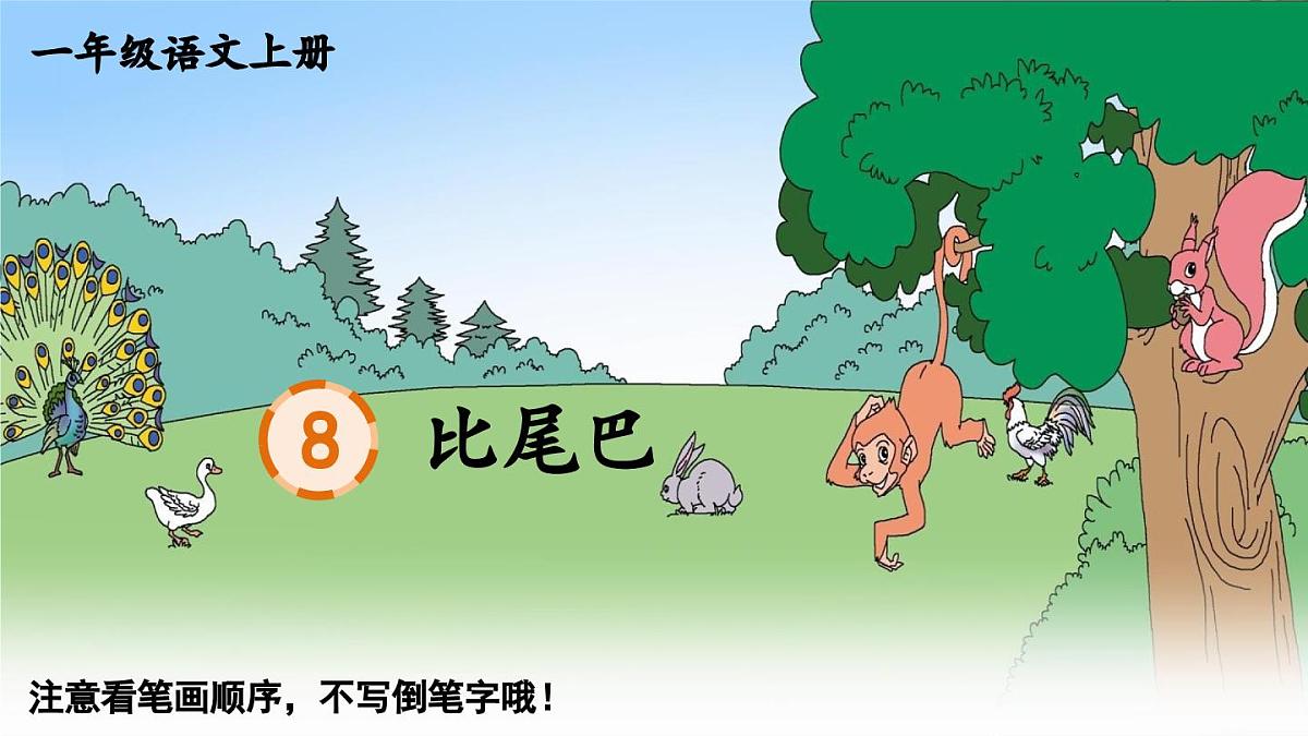 部编版语文一年级上册 8 比尾巴 生字课件第1页