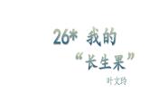 人教统编24版小学语文五年级上册第八单元26.我的“长生果”课件
