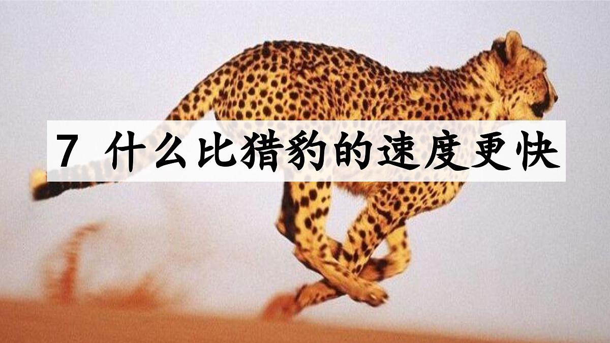 人教统编24版小学语文五年级上册第二单元7.什么比猎豹的速度更快课件第2页