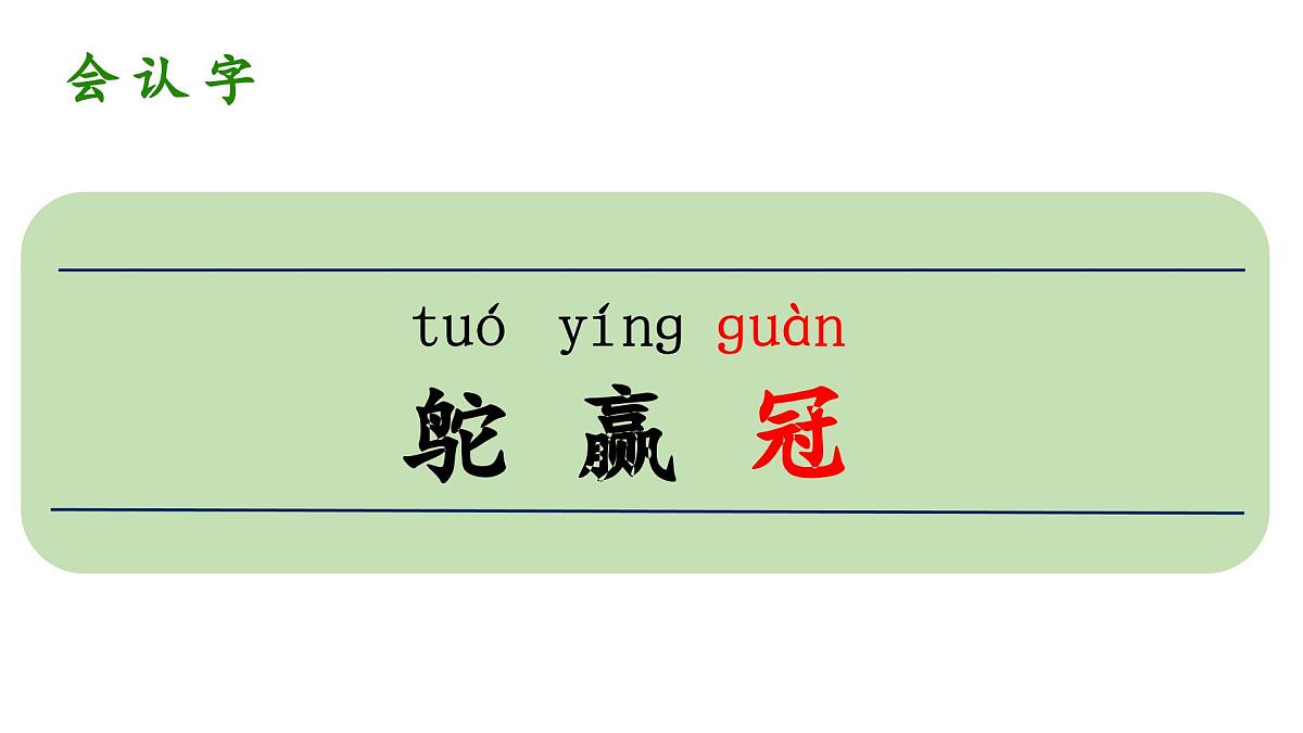 人教统编24版小学语文五年级上册第二单元7.什么比猎豹的速度更快课件第5页
