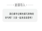 人教統(tǒng)編24版小學語文五年級上冊第七單元21.古詩詞三首課件