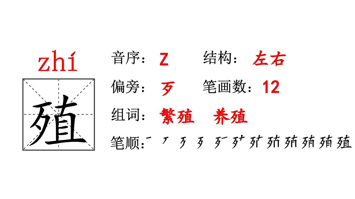 人教统编24版小学语文五年级上册第五单元16.太阳课件第8页