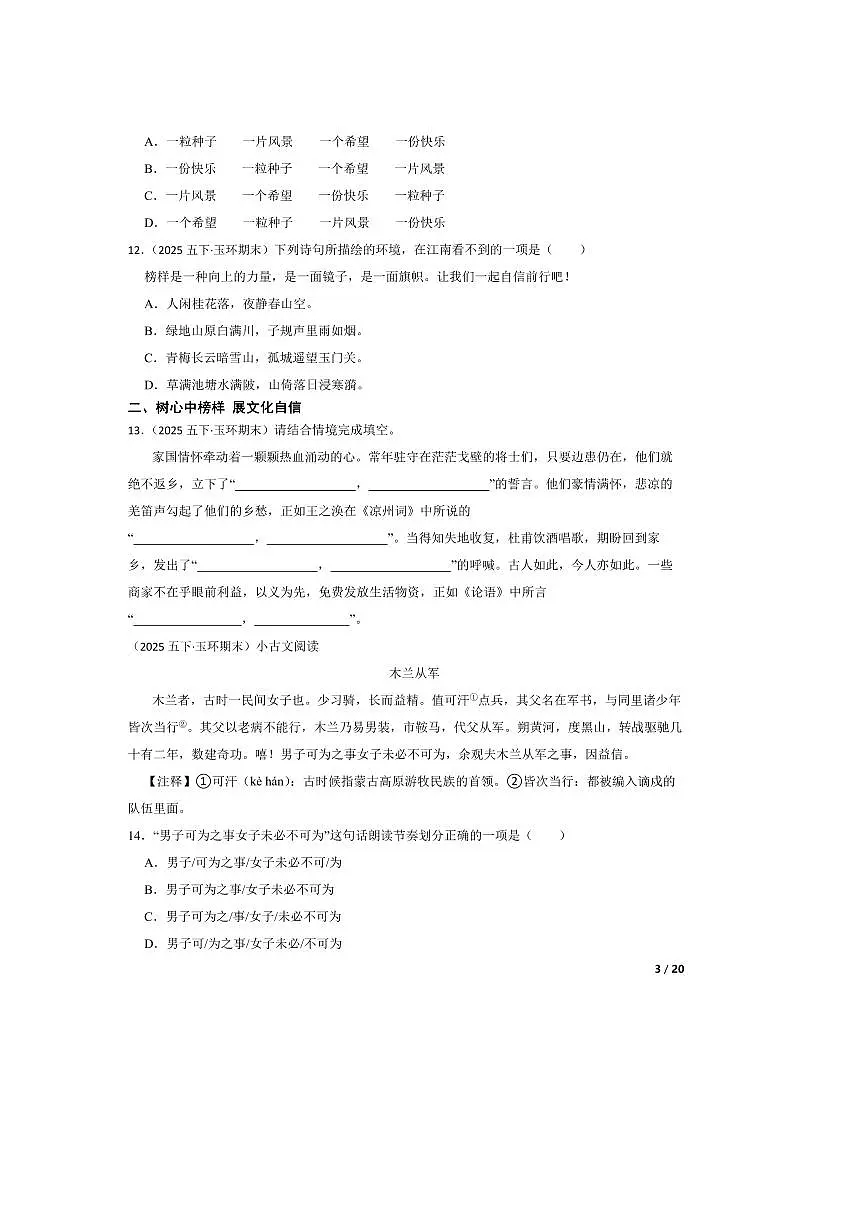 2024～2025学年浙江省台州市玉环市五年级下语文期末试卷 有答案第3页