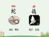 統(tǒng)編版語文二年級(jí)上冊語文園地八 課件