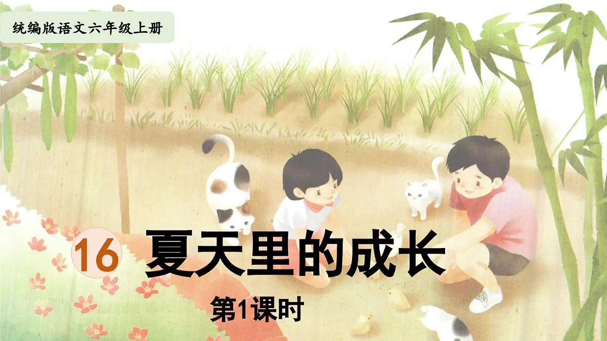 2024统编版小学语文六年级上册第五单元16《夏天里的成长》第1课时-教学课件第3页