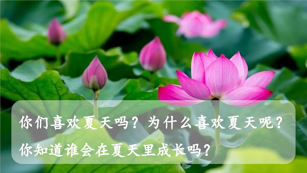 2024统编版小学语文六年级上册第五单元16《夏天里的成长》第1课时-教学课件第7页