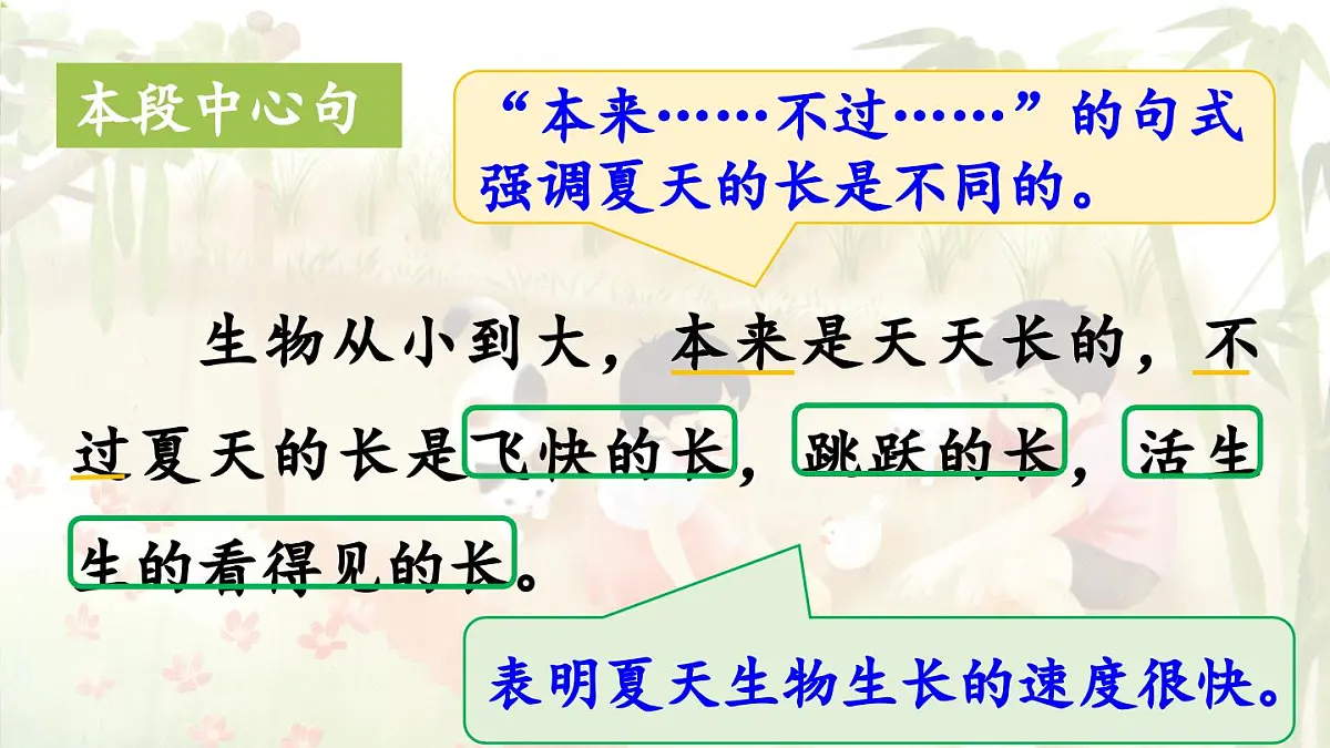 2024统编版小学语文六年级上册第五单元16《夏天里的成长》第2课时-教学课件第4页