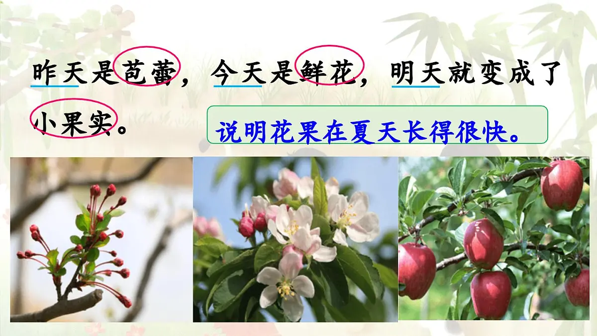 2024统编版小学语文六年级上册第五单元16《夏天里的成长》第2课时-教学课件第7页