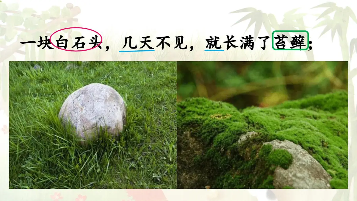 2024统编版小学语文六年级上册第五单元16《夏天里的成长》第2课时-教学课件第8页