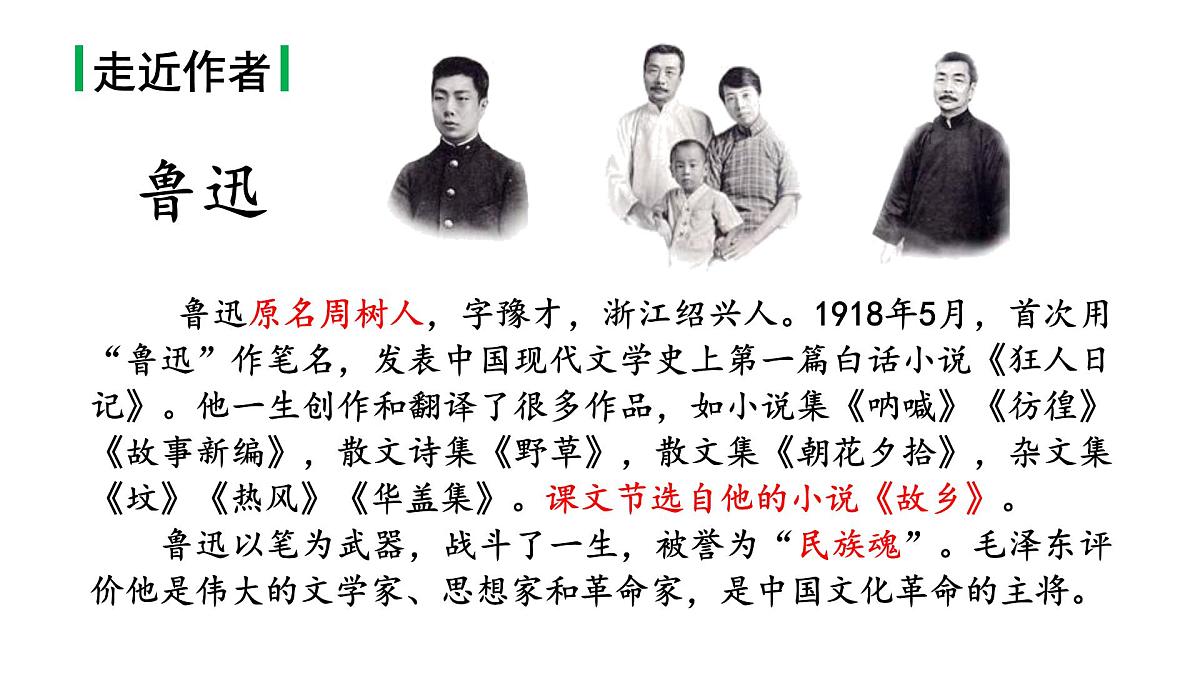 24版人教统编小学六年级上册第八单元25.少年闰土 课件第3页