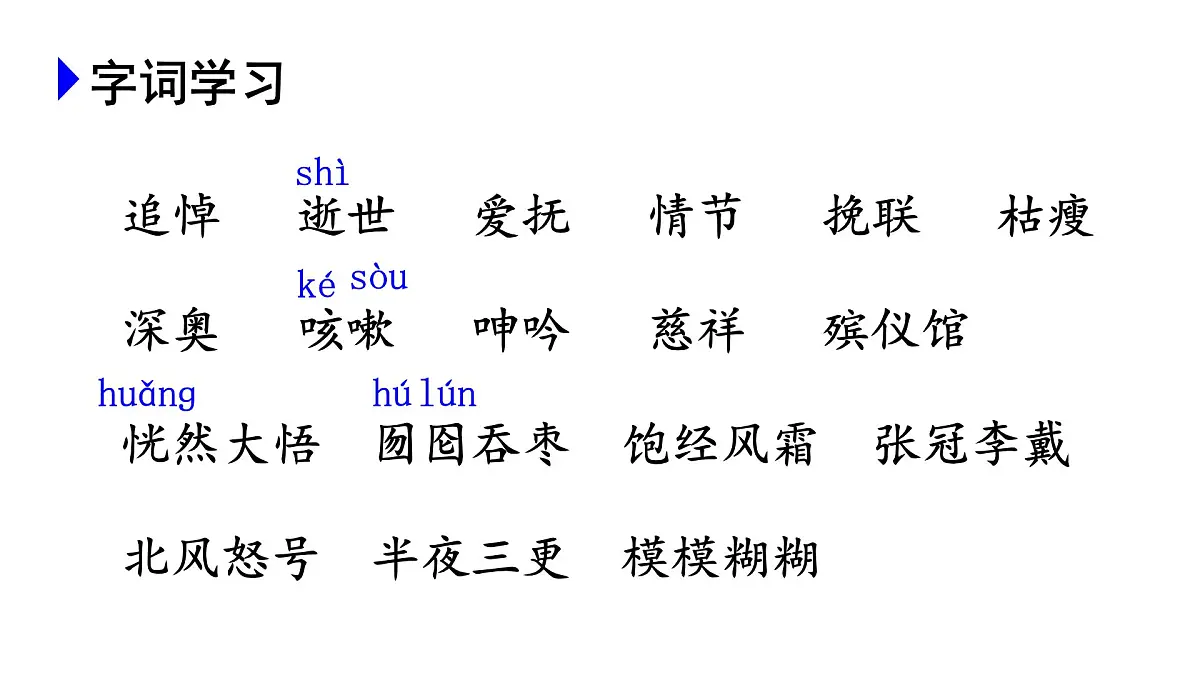24版人教统编小学六年级上册第八单元27.我的伯父鲁迅先生 课件第5页