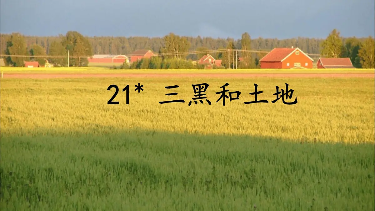 24版人教统编小学六年级上册第六单元21.三黑和土地 课件第1页