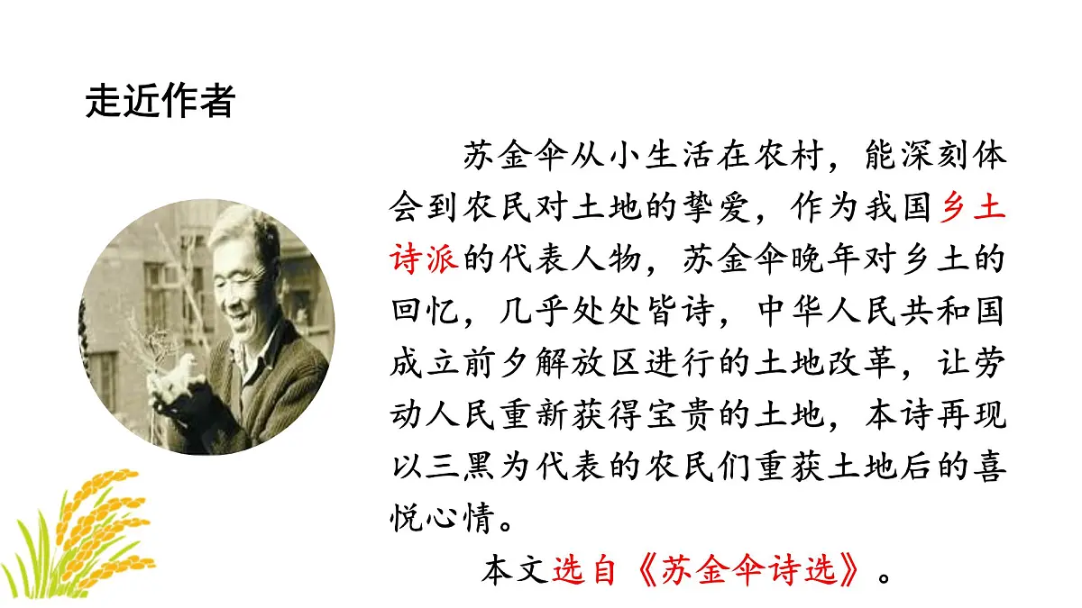 24版人教统编小学六年级上册第六单元21.三黑和土地 课件第3页