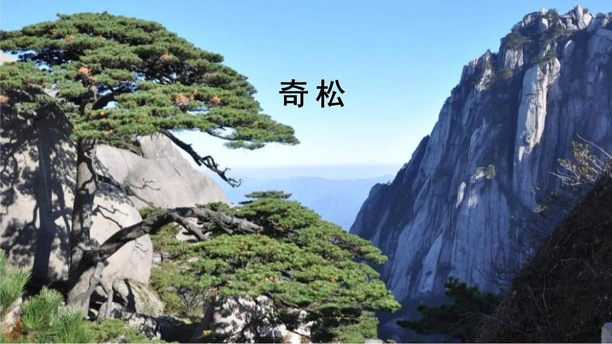 2025年统编版二年级语文上册 8.黄山奇石(课件)第5页