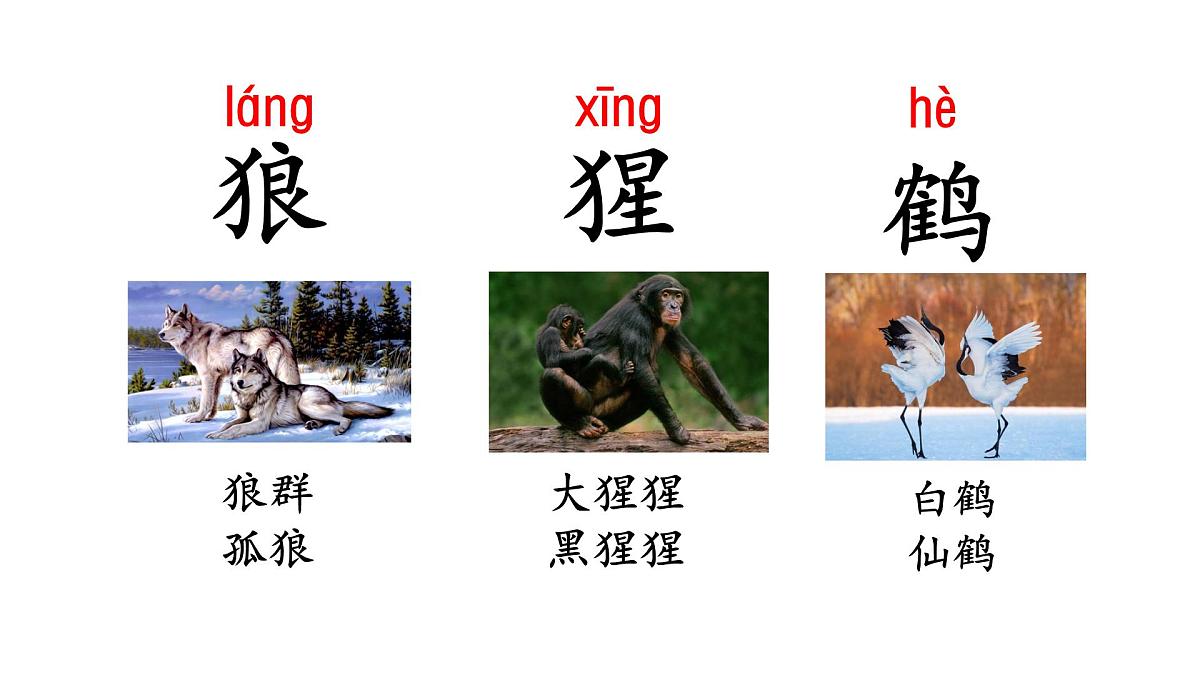 2025年统编版二年级语文上册 语文园地八(课件)第5页