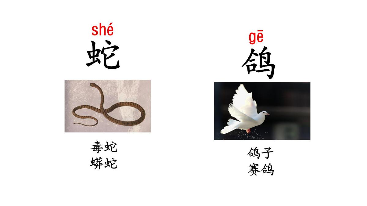 2025年统编版二年级语文上册 语文园地八(课件)第6页